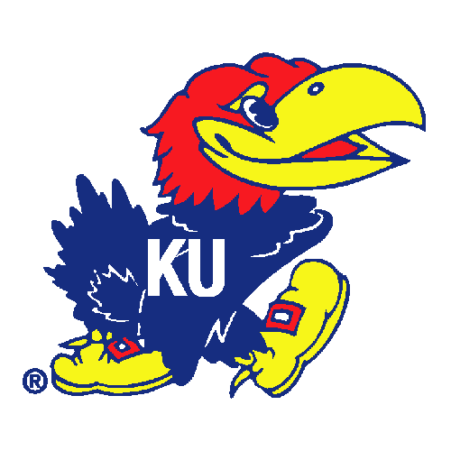 Kansas Jayhawkers Terror in the Civil War