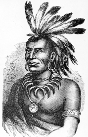 Miami Chief Little Turtle
