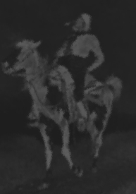 Indian ghost