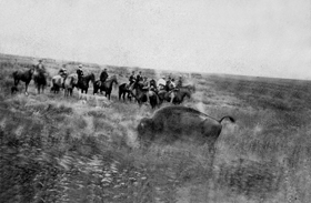 Buffalo hunt south of Hays, Kansas