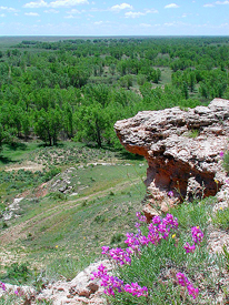 Point of Rocks, Cimarron National Grassland