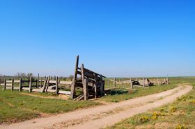 Trail to Wagon Bed Spring
