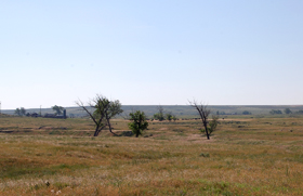 Wagon Bed Springs, Kansas